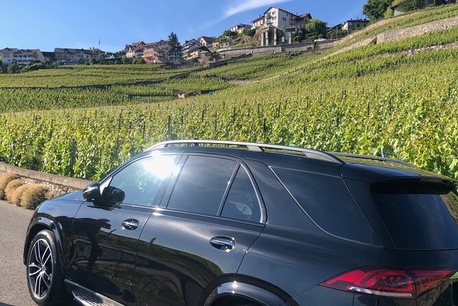 Private transfer Zurich to Interlaken (1-6 persons) - Meet Your Driver in Zurichs Arrivals Hall