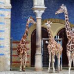 Private Transport to Berlin Zoo with Skip-the-line Ticket - Hassle-Free Transfers in a Private Vehicle