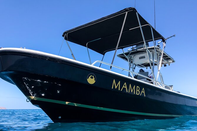 Private Trip Espiritu Santo Island - Starting Point and Schedule of the Tour