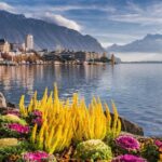 Private trip: Interlaken> Aigle Castle, Vineyards & Montreux - Scenic Drive & Cultural Charm in Montreux