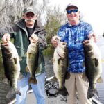 Private Trophy Bass Harris Chain of Lakes Fishing Charter - Starting Point: Buzzard Beach Boat Ramp