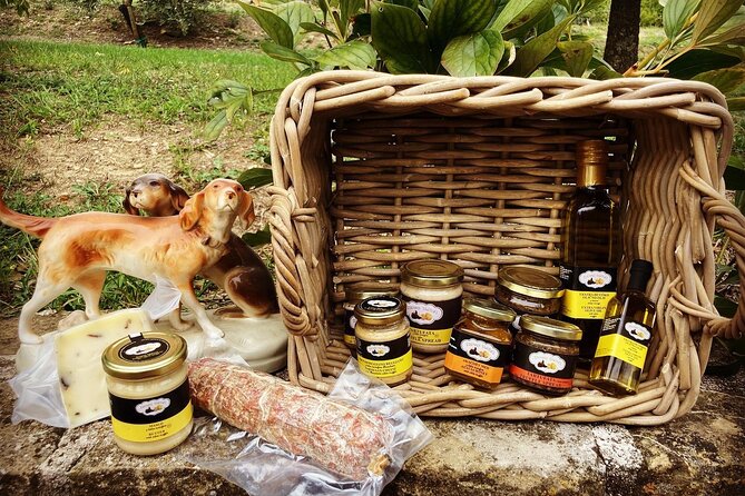 Private Truffle Hunting in Slovenia with meal - Zdenko Tartufi - Meet Zdenko Tartufi and His Loyal Hunting Dog