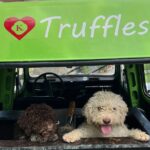 Private Truffle Hunting with Cooking Session - Starting Point at Karli Truffles in Paladini