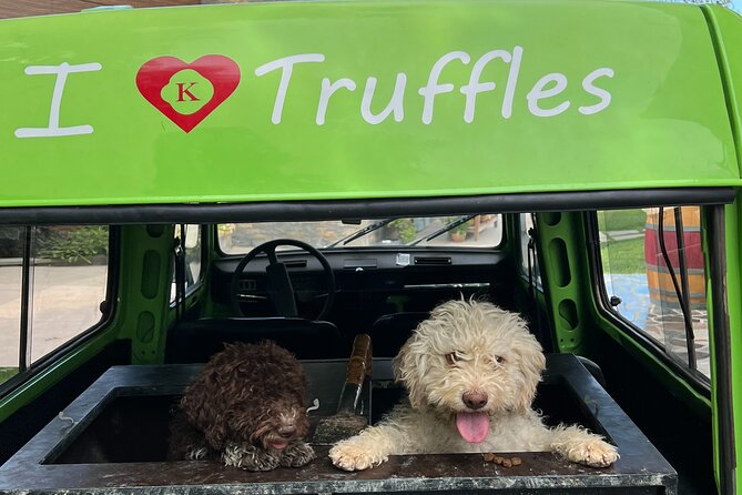 Private Truffle Hunting with Cooking Session - Starting Point at Karli Truffles in Paladini