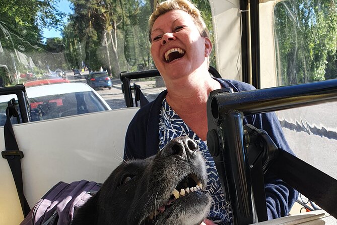 Private TukTuk guided tour in Helsinki 1,5 hours - Exploring Helsinkis Iconic Landmarks from the TukTuk