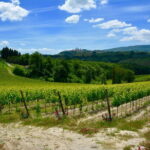 Private Tuscany Day Tour: San Gimignano and Chianti Wine Region from Florence - Exploring San Gimignano: The Medieval Jewel