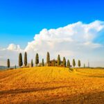 Private Tuscany Wine Country Day Trip from Rome with Lunch - Discovering Bagno Vignoni’s Thermal Waters and Medieval Charm