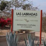 Private Van and Bilingual Local Driver - Exploring Mazatlan’s Iconic Landmarks and Neighborhoods