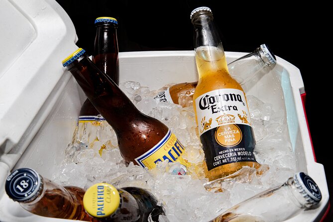 Private VAN Round-Trip from Airport to Hotels in Puerto Los Cabos - Punctuality and Professionalism: Consistent with Positive Reviews