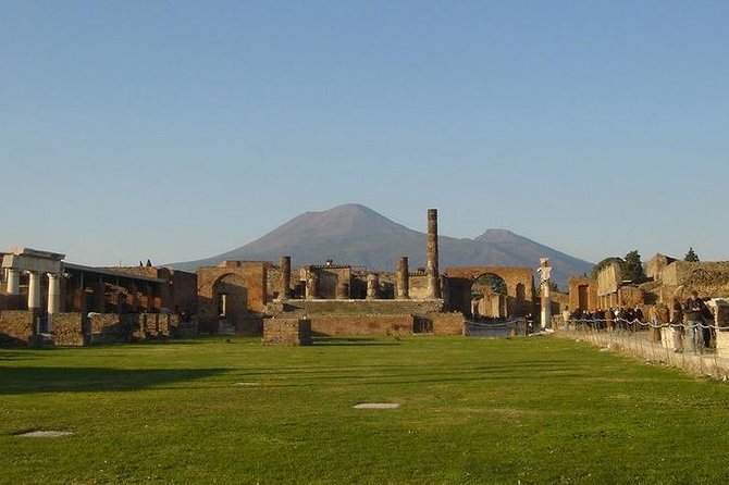 Private VIP tour to Pompeii Ruins with a Private Guide - Pickup and Transportation from Naples to Pompeii