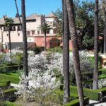 Private visit Cathedral and Royal Alcazares of Seville - Exploring the Royal Alcazares’ Mudejar and Gothic Palaces