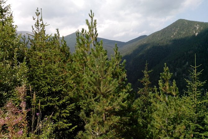 Private Vitosha Mountains Hiking with Black peak & Dragalevtsi Monastery - Starting from Sofia: Hotel Pickup and Transportation