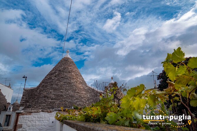 Private walking tour in Alberobello - Navigating the Town with a Private Guide