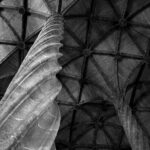 Private Walking Tour in Valencia with Guide - Starting at the Torres de Serrans for a Historic Introduction