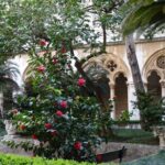 Private Walking Tour of Dubrovnik and its Ancient Walls - Detailed Stop at Onofrio’s Fountain and Medieval Aqueduct