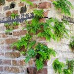 Private Walking Tour of Historic Charleston - Visiting Charleston’s Oldest Landmark: St. Michael’s Episcopal Church