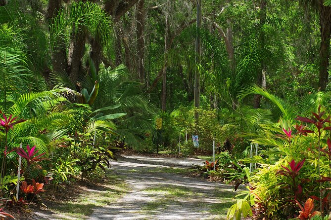 Private Walking Tour to St. John's Botanical Garden - Palm Central: The Garden’s Crown Jewel