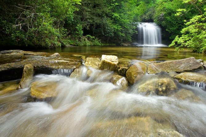 Private Waterfall and Blue Ridge Parkway Tour with a Naturalist - An Exclusive Private Experience in Asheville’s Mountains