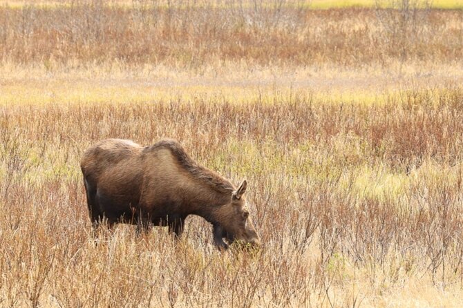 Private Whittier Cruise Transit Tour With AWCC - Convenient Pickup and Private Experience in Whittier
