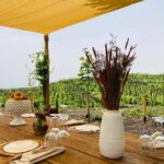 Private Wine and Food Tasting Immersed in Nature in Milo - The Scenic Setting of Milo and the Etna Region