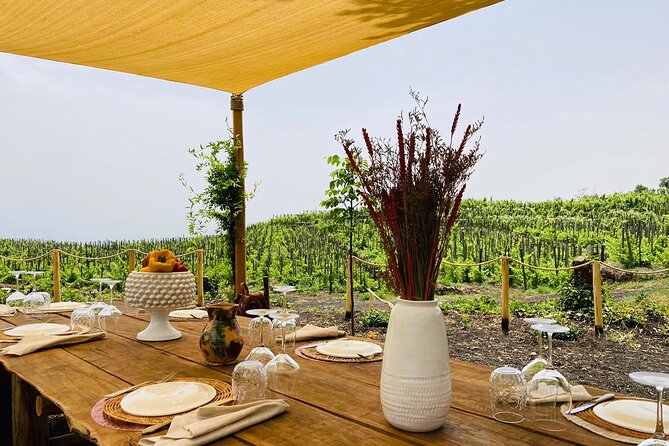 Private Wine and Food Tasting Immersed in Nature in Milo - The Scenic Setting of Milo and the Etna Region