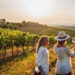 Private Wine and Local Flavors Tour from Palma de Mallorca - Journey to Bodegas Angel in Mallorca’s Countryside