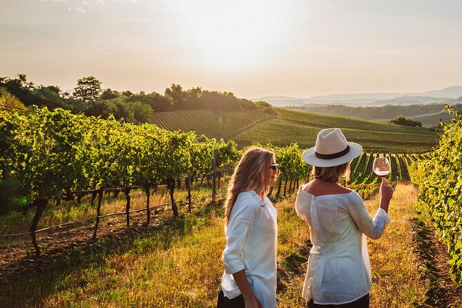 Private Wine and Local Flavors Tour from Palma de Mallorca - Journey to Bodegas Angel in Mallorca’s Countryside