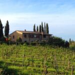 Private Wine & Evo Oil Tasting with Saffron Meal - Tasting Organic Wines and Extra Virgin Olive Oils