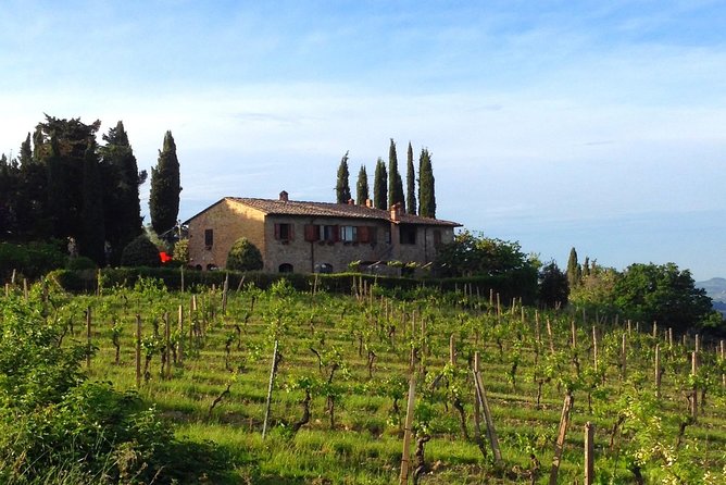 Private Wine & Evo Oil Tasting with Saffron Meal - Tasting Organic Wines and Extra Virgin Olive Oils