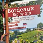 Private Wine Lovers Tour - Gorgeous Graves & Sauternes, discover the diversity - Exploring Bordeauxs Top Châteaux in Graves