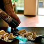 Private Wine & Oil Tasting with Lunch - Exploring the Organic Winery and Farm Facilities