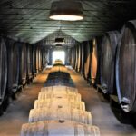 Private Wine Tasting in the Setúbal Wine Region, from Lisbon - Visiting Portugal’s Iconic Wineries: José Maria de Fonseca and Quinta do Alcube