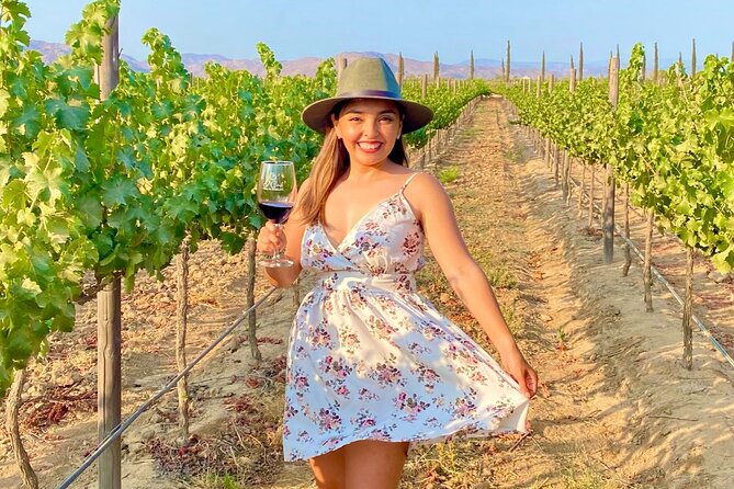 Private Wine Tour at Valle de Guadalupe (A wine tasting included). - The Early Stop at Tres Valles Boutique Winery