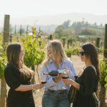 Private Wine Tour by Ansell Tours - Personalized Experience in Valle de Guadalupe with a Private Guide