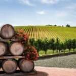 Private Wine Tour from Zagreb: Two Local Wineries & Samobor - Discovering Samobor: Croatia’s Culinary Gem