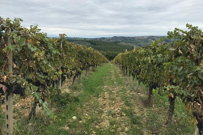 Private wine tour in Chianti Classico with sommelier (2 wineries) - Visiting Barberino Val dElsa: The First Stop