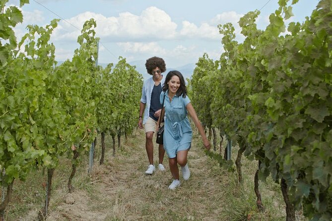 Private Wine Tour in Niagara-on-the-Lake w/ cheese & charcuterie - Niagara-on-the-Lake Town Stroll