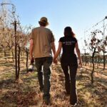 Private Wine Tour in Sedona, Arizona - Visiting Page Springs Cellars: A Vineyard with a Purpose