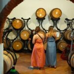 Private wine tour on the magical hills of Lucca (2 wineries) - What to Expect During the Wine Tastings