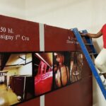 Private Wine Tour to Burgundy Region from Paris - Visiting a Medieval Fortress at Château de Chateauneuf-en-Auxois