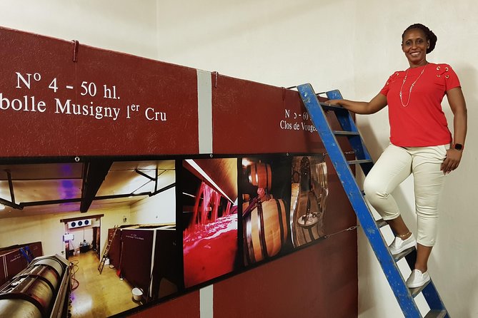 Private Wine Tour to Burgundy Region from Paris - Visiting a Medieval Fortress at Château de Chateauneuf-en-Auxois