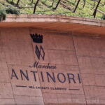 PRIVATE WINE TOUR TUSCANY Wines and Wineries of Chianti Classico - Visit the Iconic Antinori nel Chianti Classico Winery
