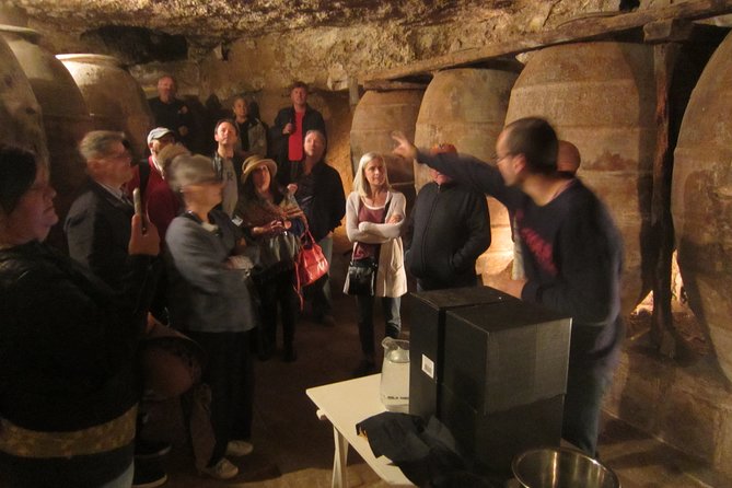Private Wineries Tour from Valencia (morning tour) - The Historic Significance of Requena’s Caves