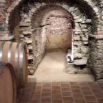 Private Winery and Vineyard Tour with Wine Tasting - The Charm of Azienda Agricola Fea’s Cozy Cellar