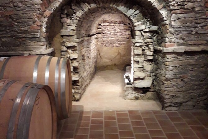 Private Winery and Vineyard Tour with Wine Tasting - The Charm of Azienda Agricola Fea’s Cozy Cellar