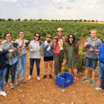 Private Winery Tour near Madrid with Sommelier (6-hour) - Exploring Ancient Winemaking in Colmenar de Oreja