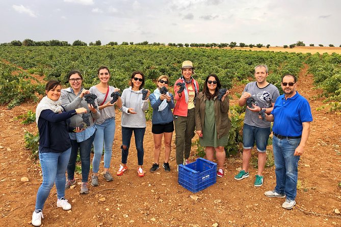 Private Winery Tour near Madrid with Sommelier (6-hour) - Exploring Ancient Winemaking in Colmenar de Oreja