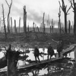 Private World War I Battlefield Tour from Brussels to Flanders - Visiting Vladslo German War Cemetery and the Grieving Parents