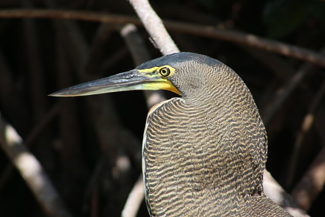 Private Yucatan Discovery Tour - Day 1: Visiting the Pink Lakes and the Convent of San Bernardino