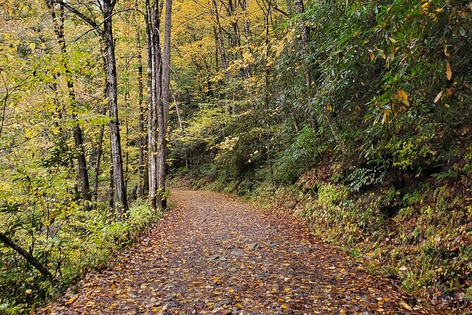 Privately Guided Full Day Hike - Scenic Highlights and Stops for a Memorable Day